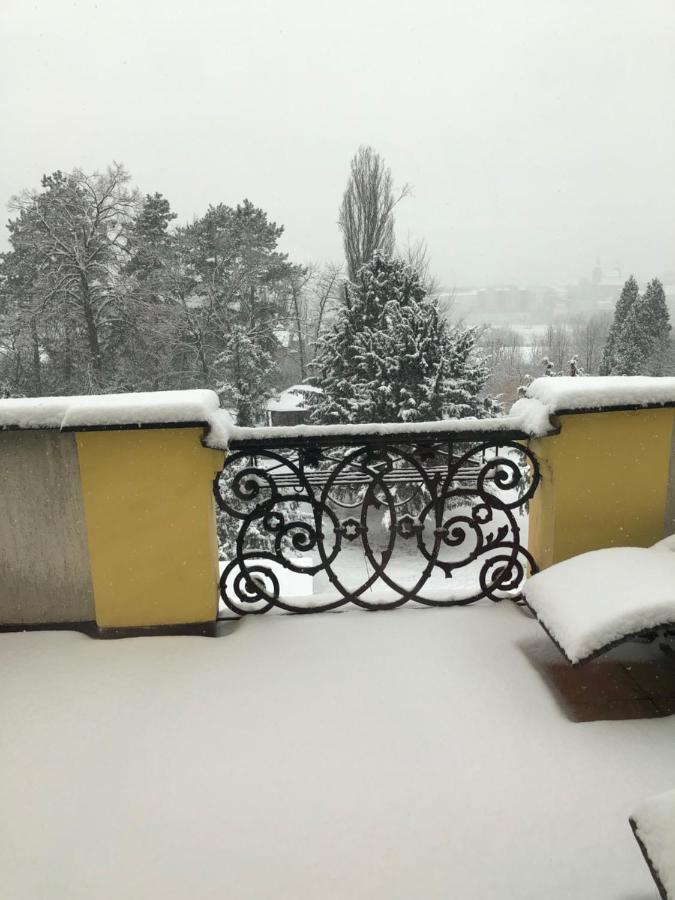 Ubytovani V Soukromi Rodinne Vily V Decine Bagian luar foto