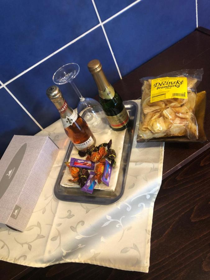 Ubytovani V Soukromi Rodinne Vily V Decine Bagian luar foto